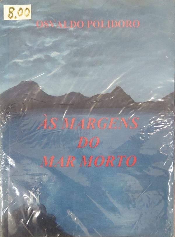 Às Margens Do Mar Morto