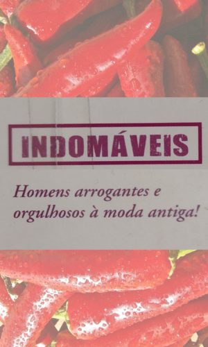 Indomáveis