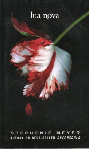 Lua Nova
