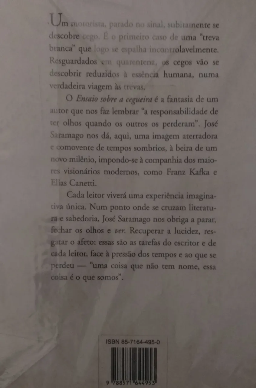 Ensaio Sobre A Cegueira - Imagem 2