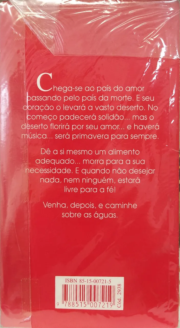 Caminhar Sobre As Águas - Imagem 2