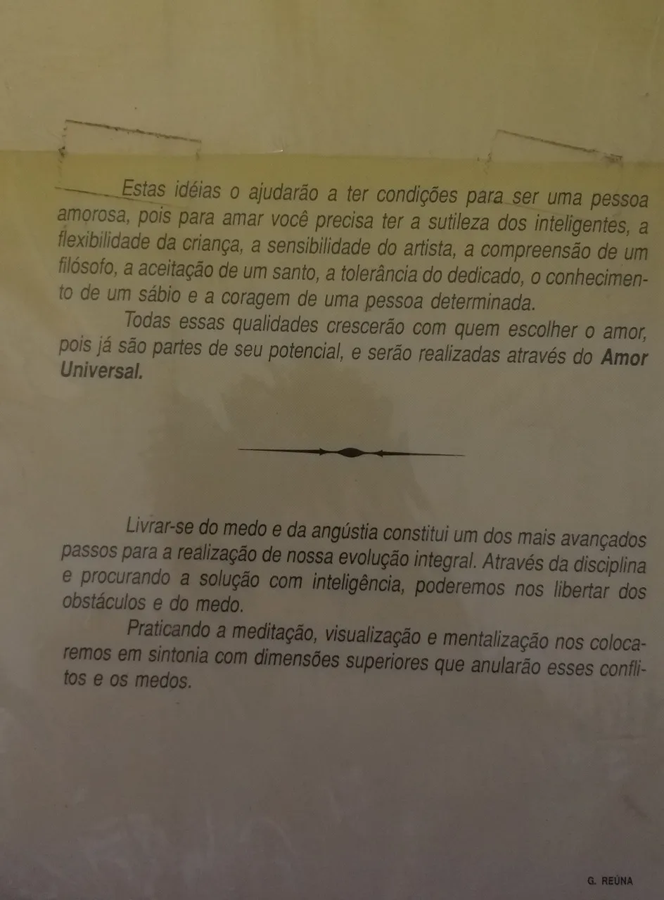 Regenerando Nossa Luz - Imagem 2