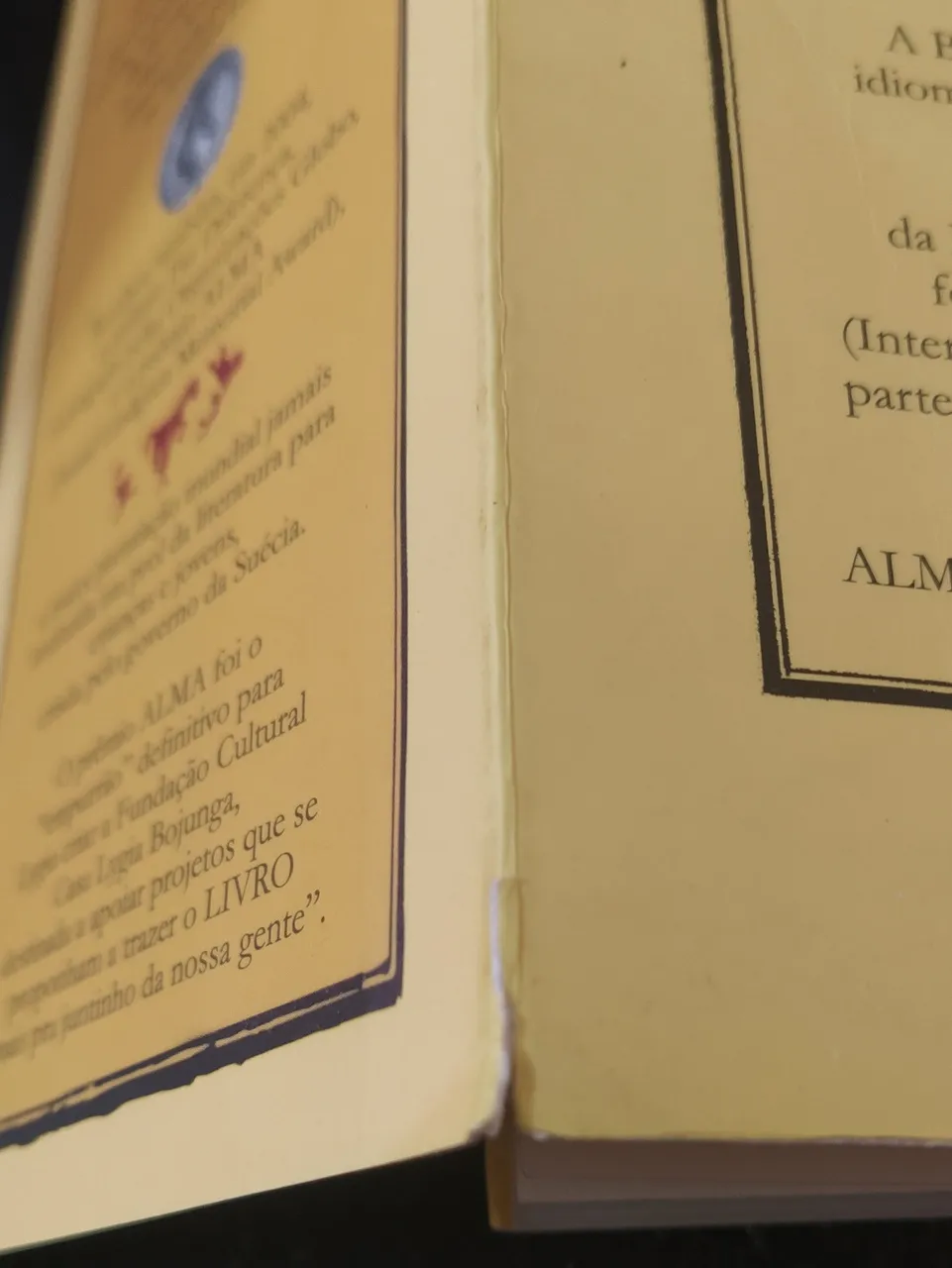 A Bolsa Amarela - Imagem 3